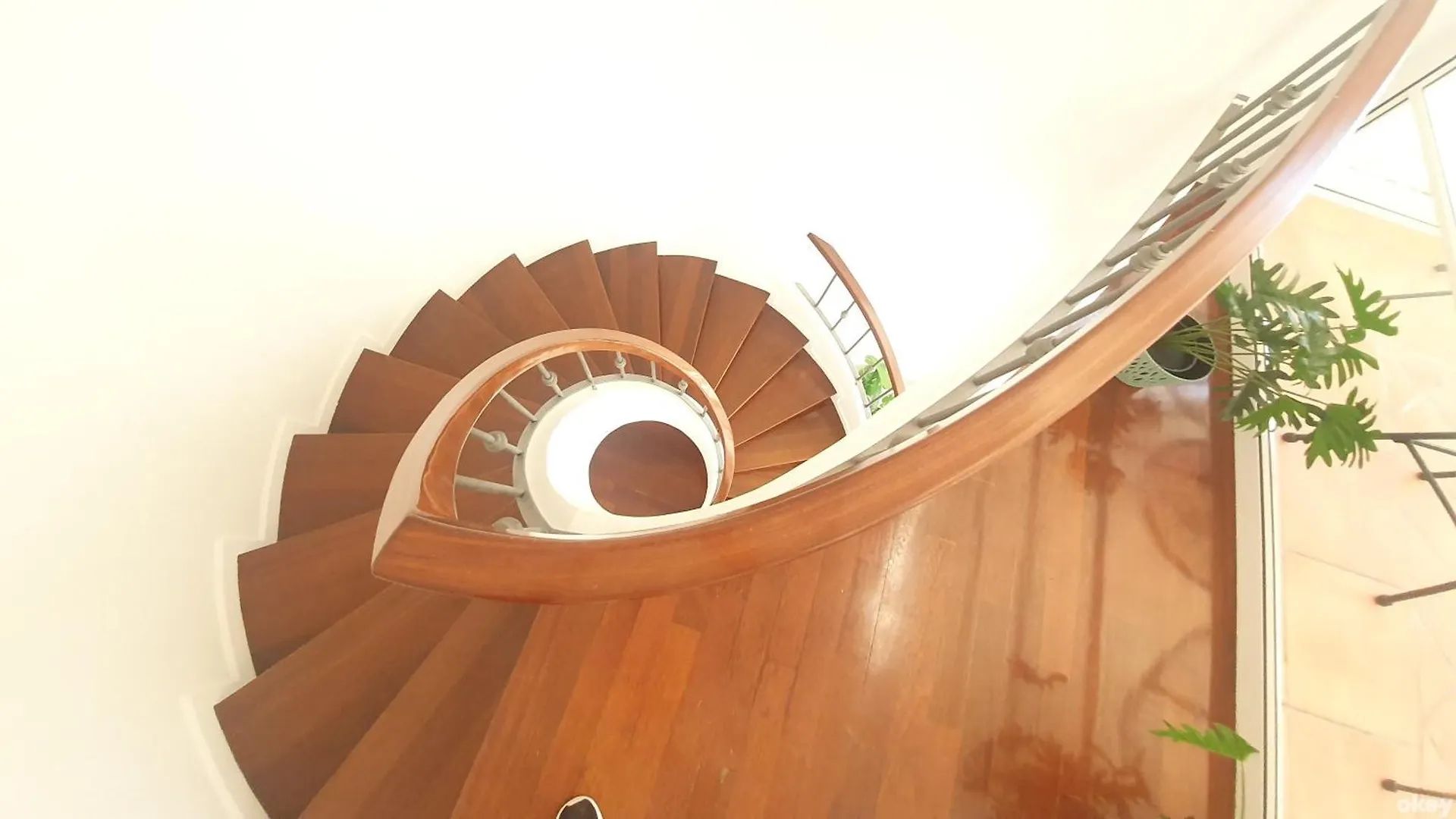 Dimora Alighieri - Bari Centro Apartment